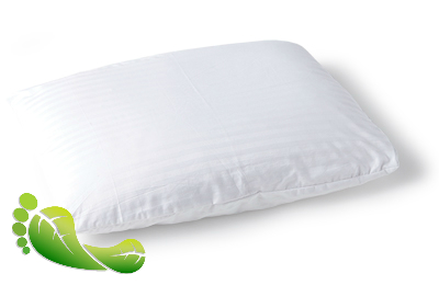 Organic Pillow occassional
